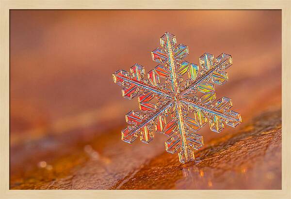 Snow Crystal Close Up
