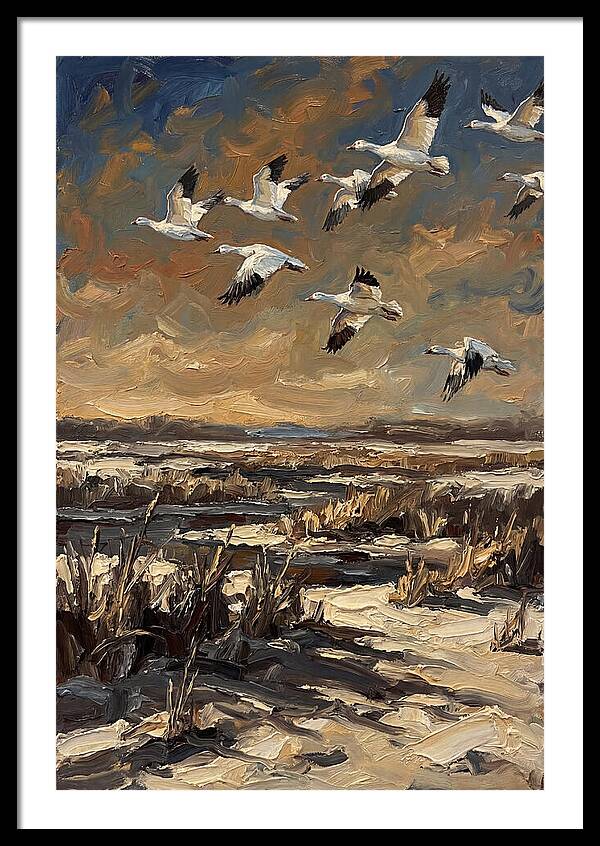 Snow Geese Over Winter Wetland