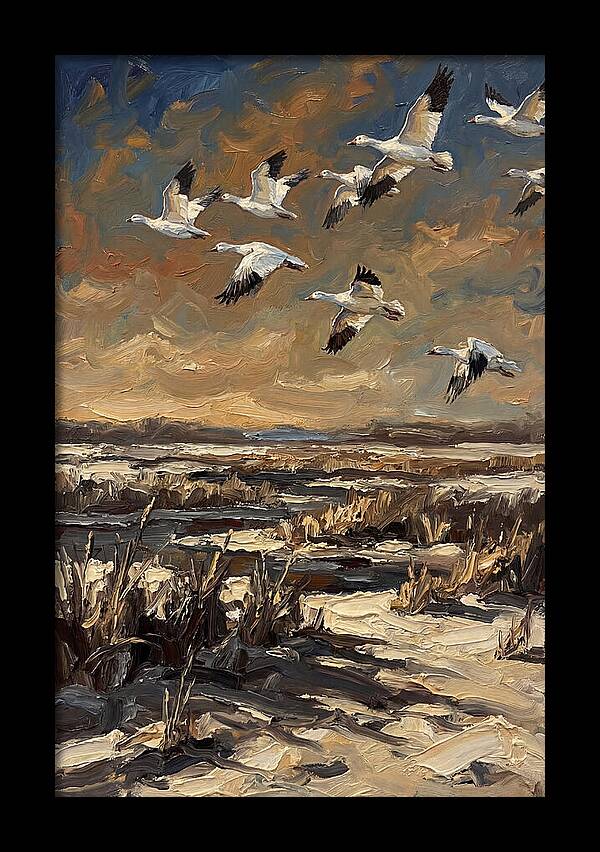 Snow Geese Over Winter Wetland