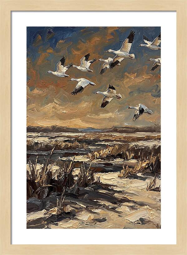Snow Geese Over Winter Wetland
