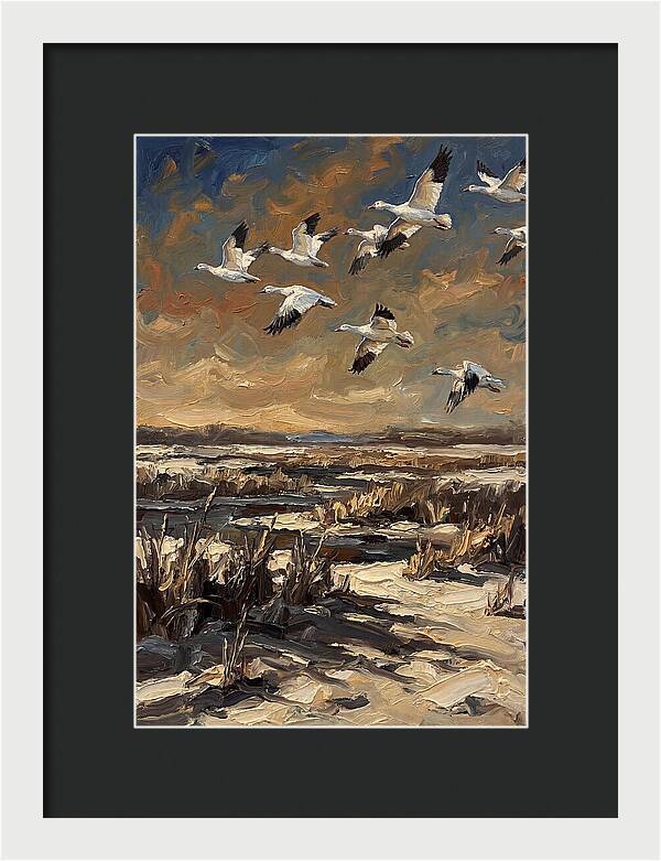 Snow Geese Over Winter Wetland
