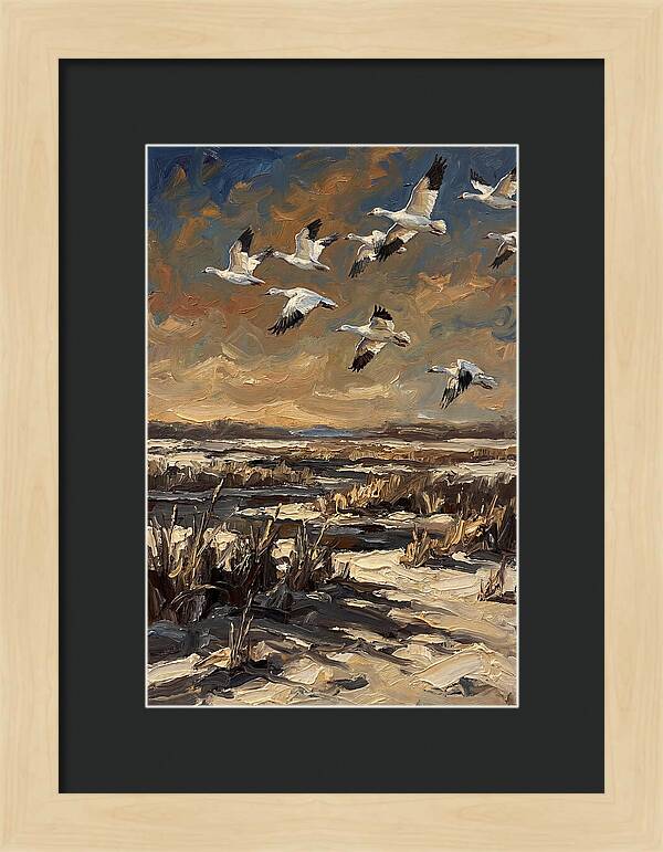 Snow Geese Over Winter Wetland