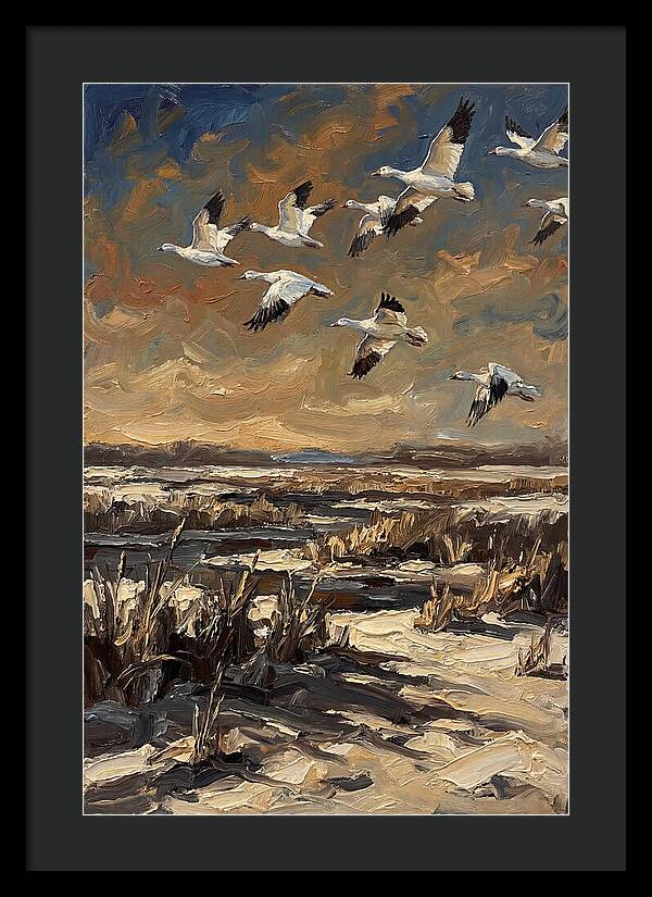 Snow Geese Over Winter Wetland