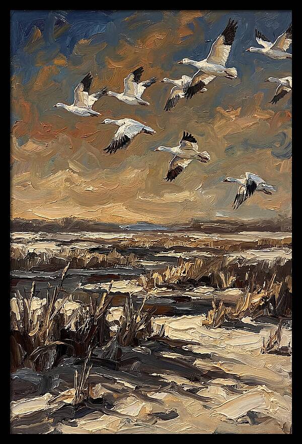 Snow Geese Over Winter Wetland