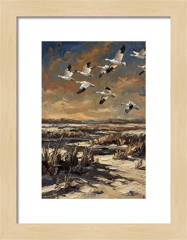 Snow Geese Over Winter Wetland