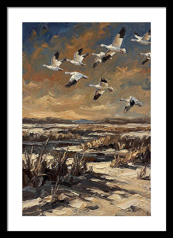 Snow Geese Over Winter Wetland