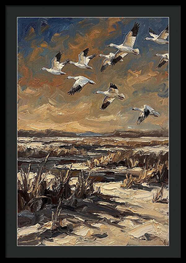Snow Geese Over Winter Wetland