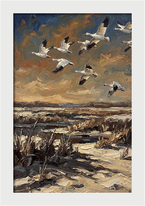 Snow Geese Over Winter Wetland