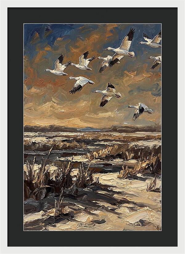 Snow Geese Over Winter Wetland