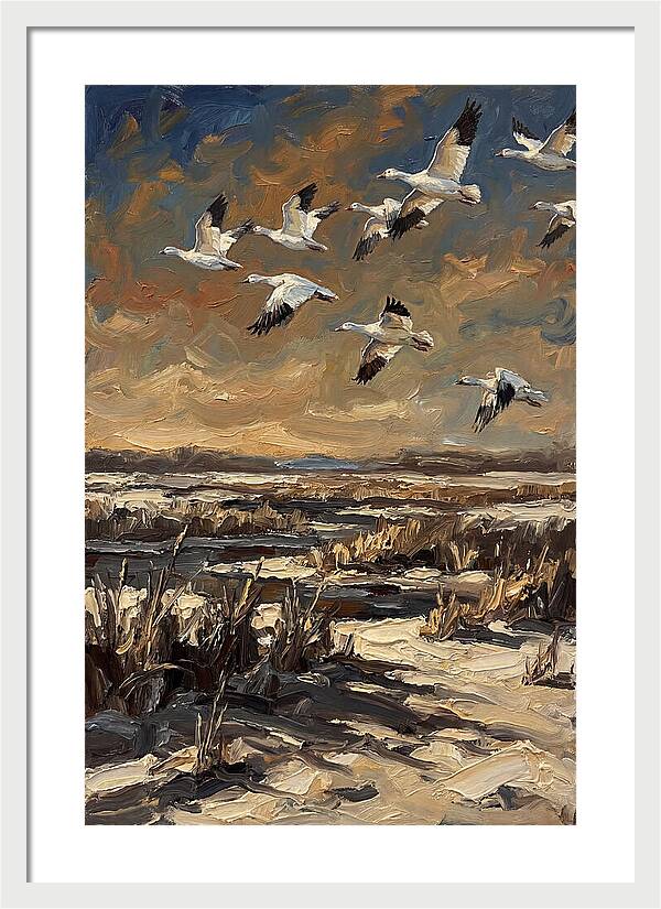Snow Geese Over Winter Wetland