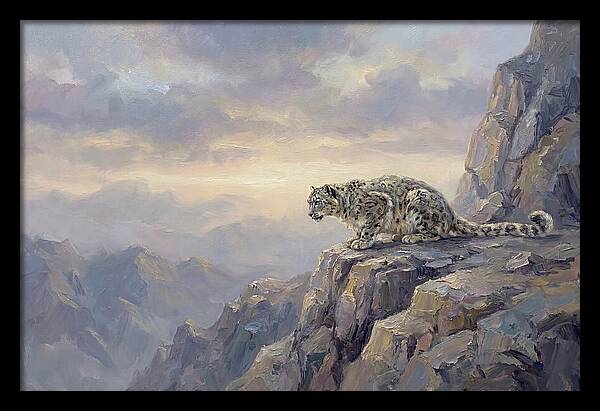 Snow Leopard On Rocky Ledge