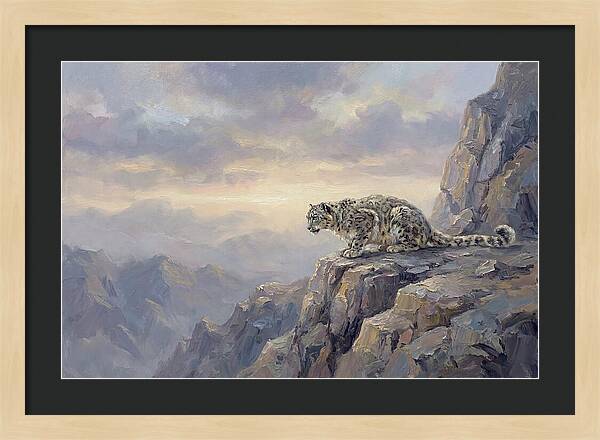 Snow Leopard On Rocky Ledge