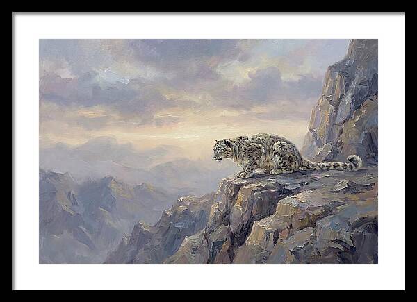 Snow Leopard On Rocky Ledge