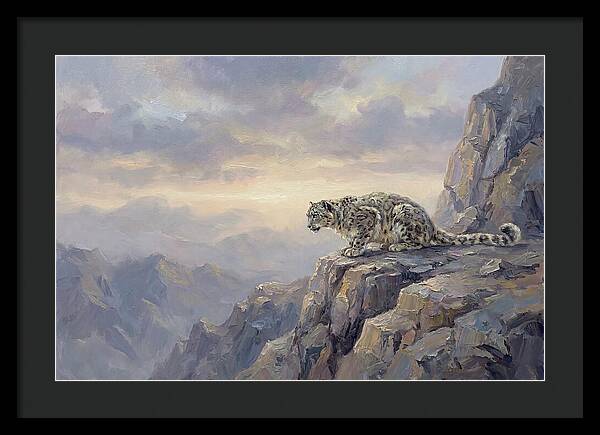 Snow Leopard On Rocky Ledge