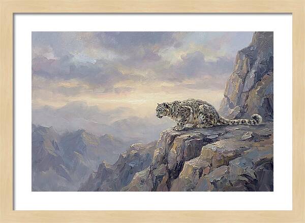 Snow Leopard On Rocky Ledge