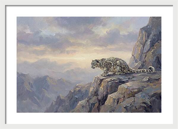 Snow Leopard On Rocky Ledge