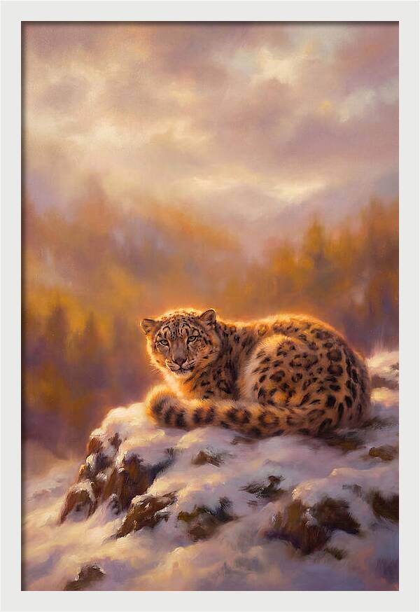 Snow Leopard Serenity