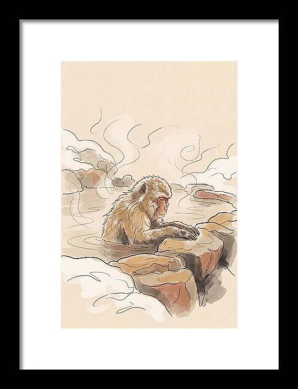 Snow Monkey Soaking In Hot Spring
