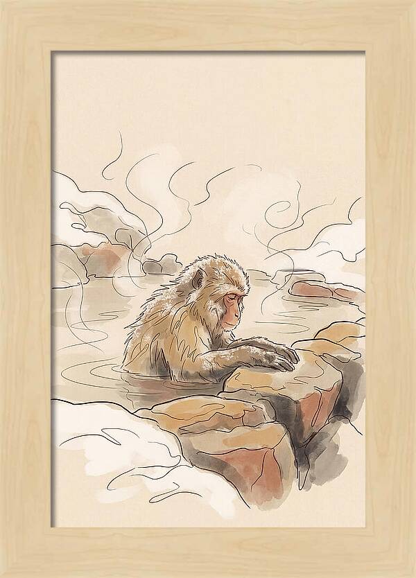 Snow Monkey Soaking In Hot Spring
