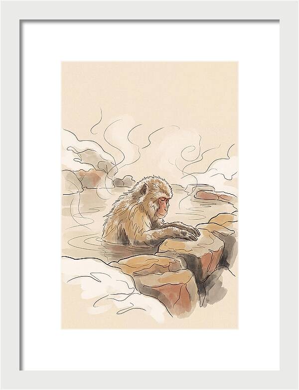 Snow Monkey Soaking In Hot Spring