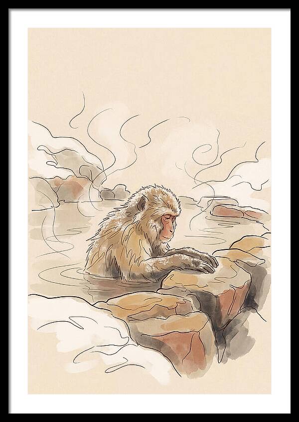 Snow Monkey Soaking In Hot Spring