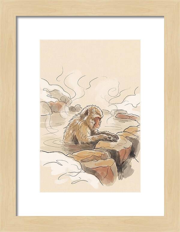 Snow Monkey Soaking In Hot Spring