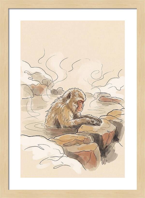 Snow Monkey Soaking In Hot Spring