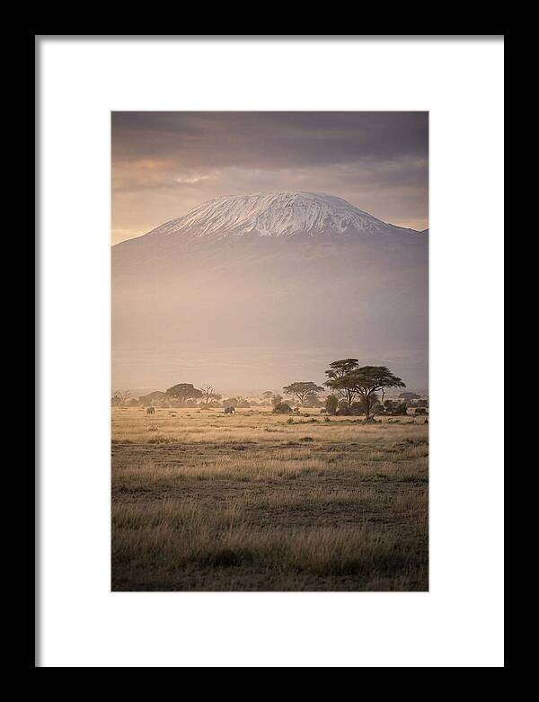Snowcapped Kilimanjaro Above Savanna