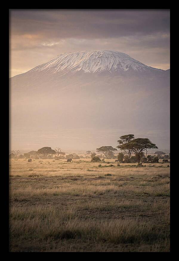Snowcapped Kilimanjaro Above Savanna