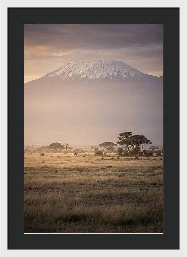 Snowcapped Kilimanjaro Above Savanna