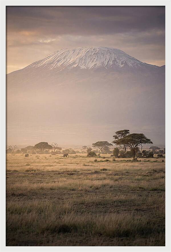 Snowcapped Kilimanjaro Above Savanna