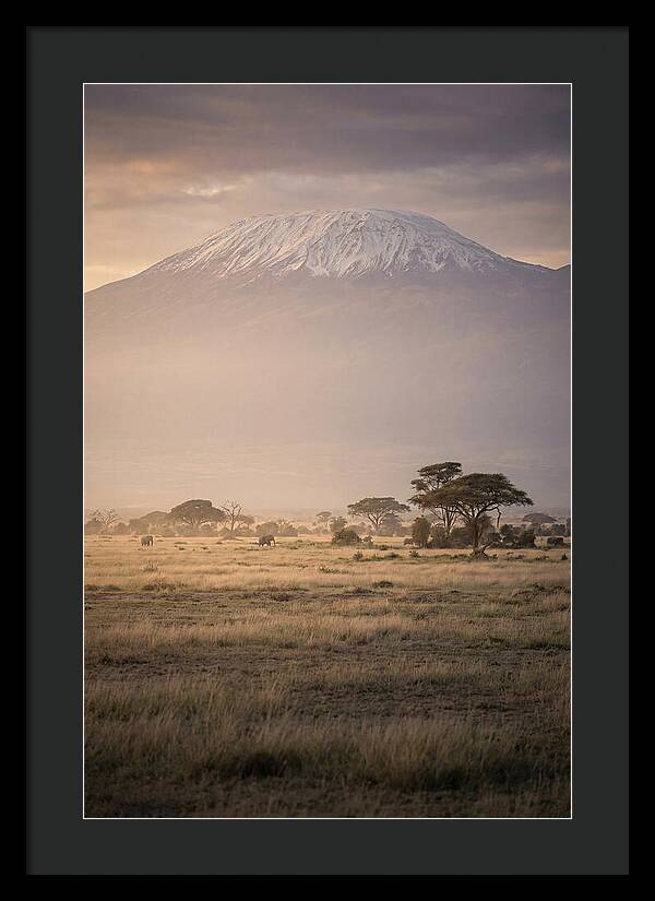 Snowcapped Kilimanjaro Above Savanna