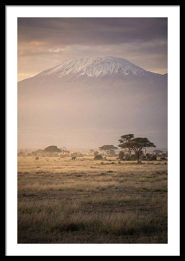 Snowcapped Kilimanjaro Above Savanna