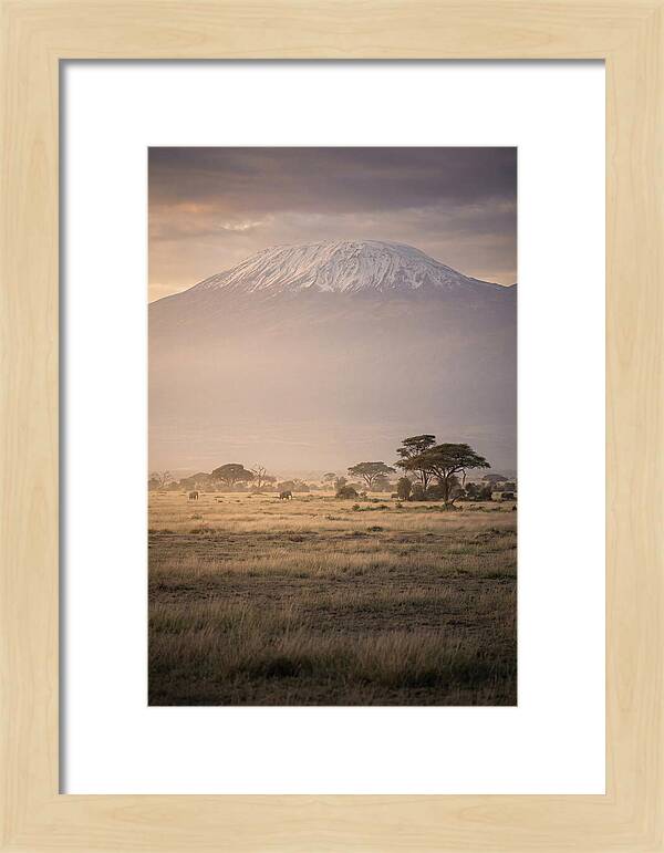 Snowcapped Kilimanjaro Above Savanna