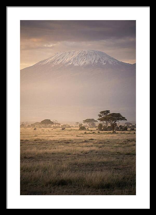 Snowcapped Kilimanjaro Above Savanna