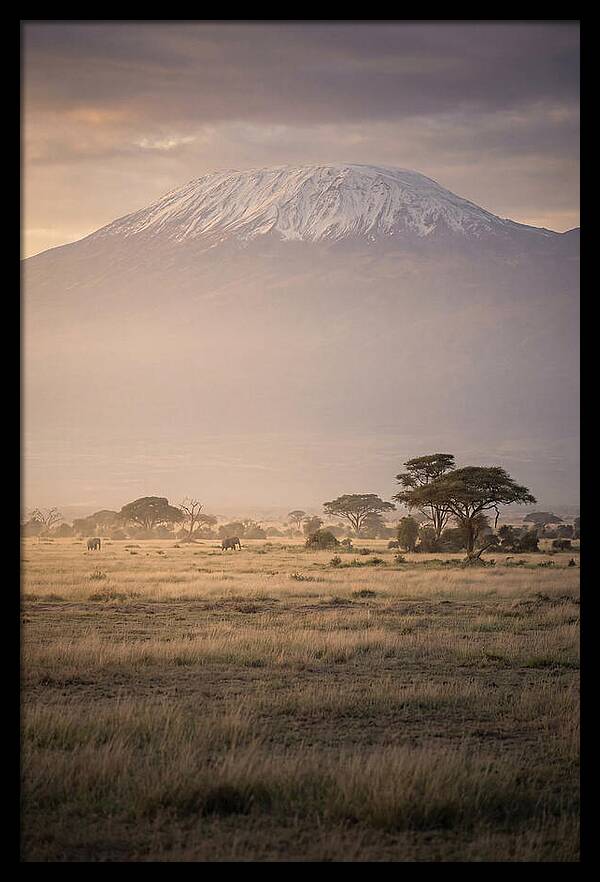 Snowcapped Kilimanjaro Above Savanna