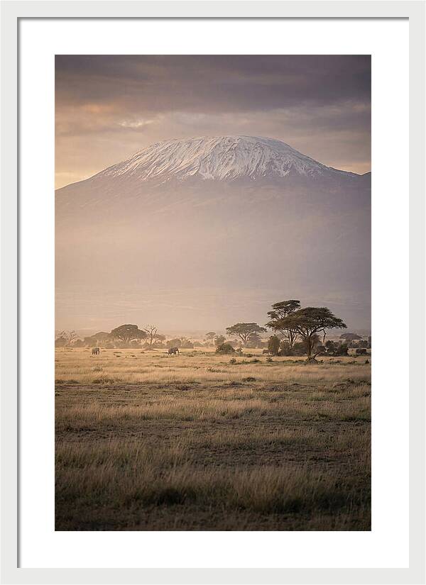 Snowcapped Kilimanjaro Above Savanna