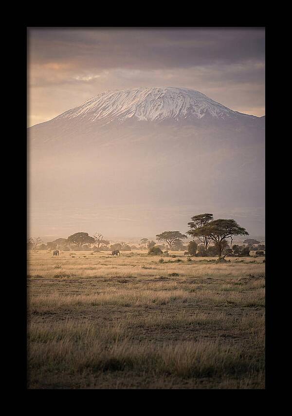Snowcapped Kilimanjaro Above Savanna