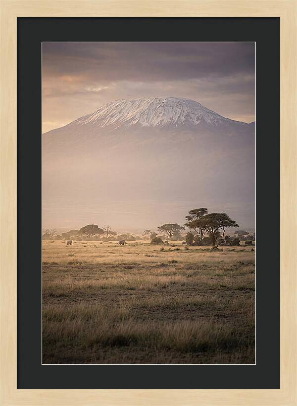 Snowcapped Kilimanjaro Above Savanna