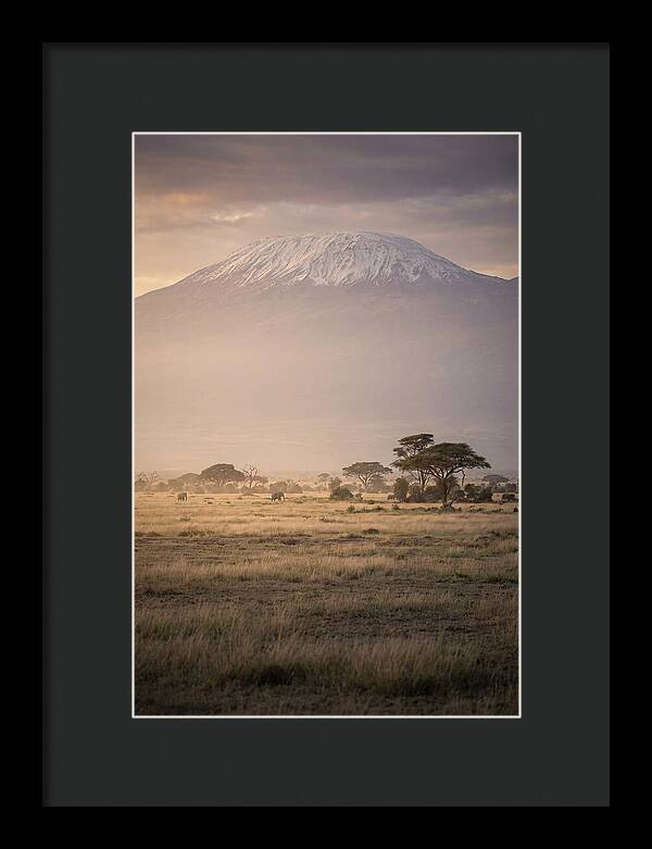 Snowcapped Kilimanjaro Above Savanna