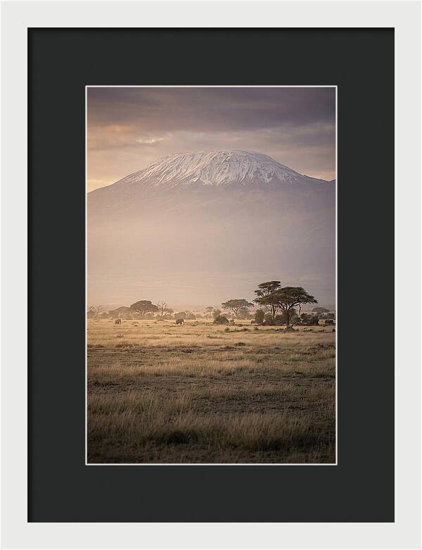 Snowcapped Kilimanjaro Above Savanna