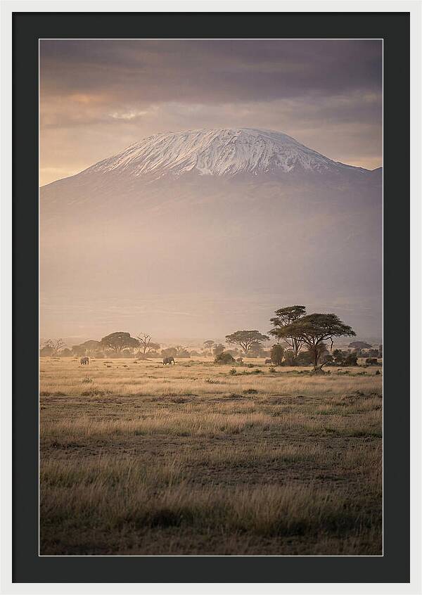 Snowcapped Kilimanjaro Above Savanna