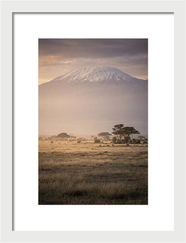 Snowcapped Kilimanjaro Above Savanna