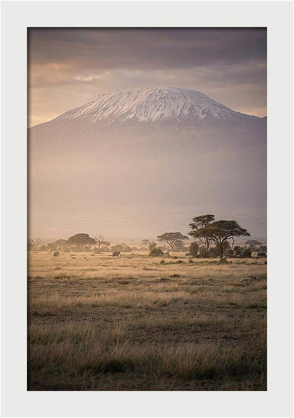 Snowcapped Kilimanjaro Above Savanna