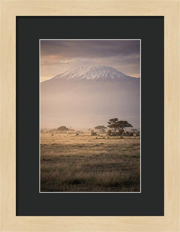 Snowcapped Kilimanjaro Above Savanna