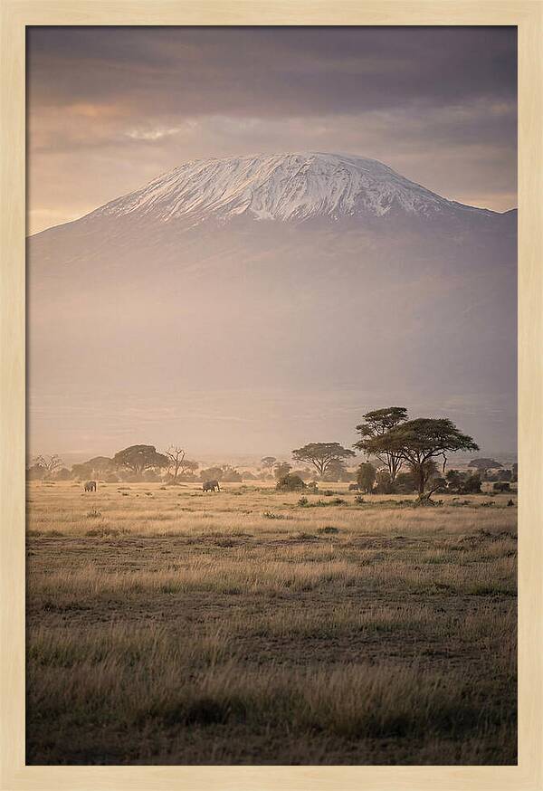 Snowcapped Kilimanjaro Above Savanna