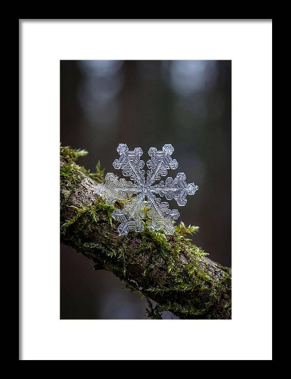 Snowflake Crystal Macro
