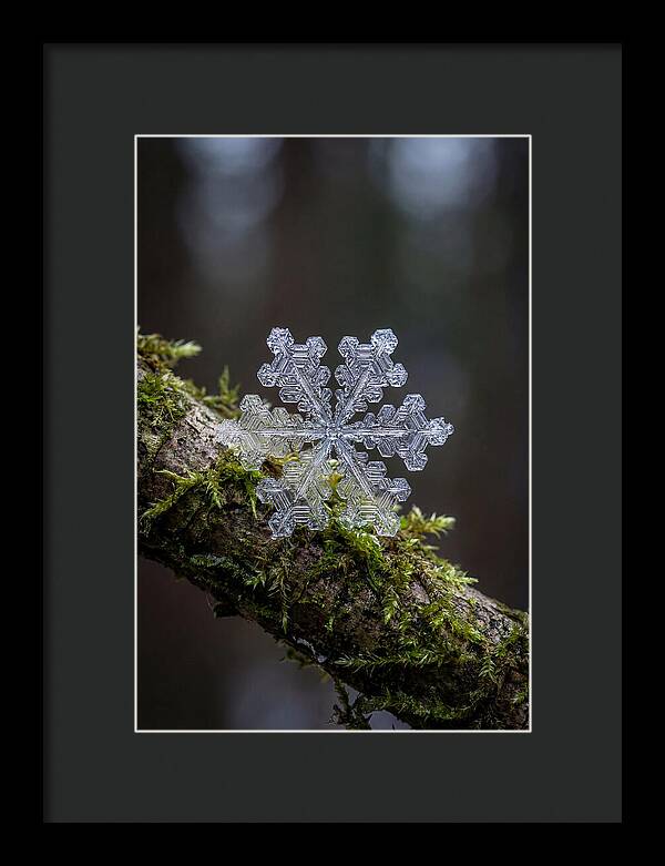Snowflake Crystal Macro