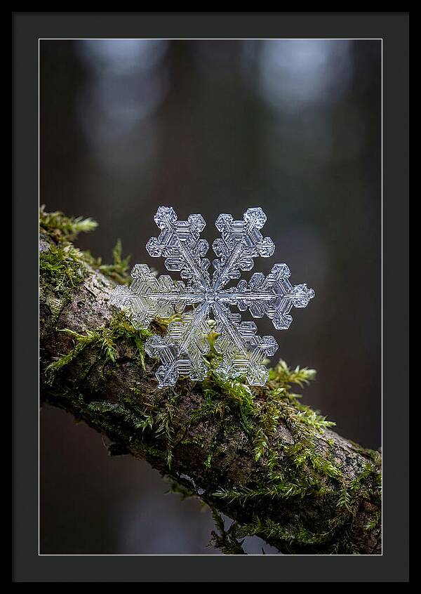 Snowflake Crystal Macro