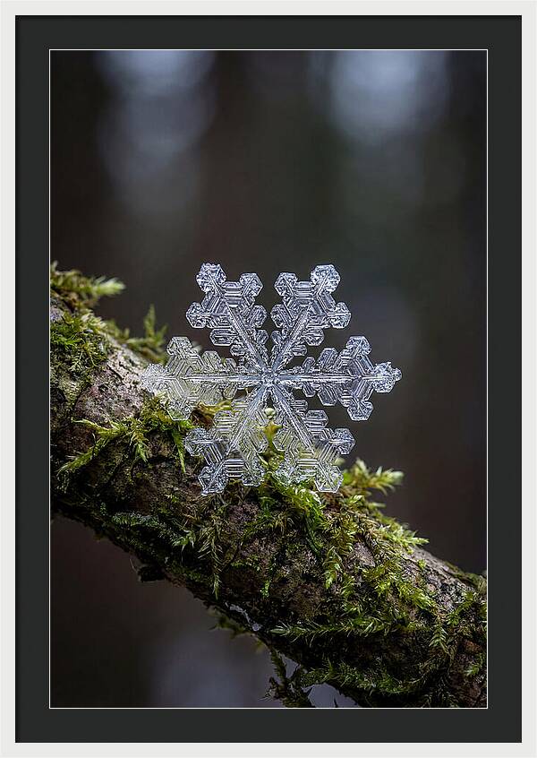 Snowflake Crystal Macro